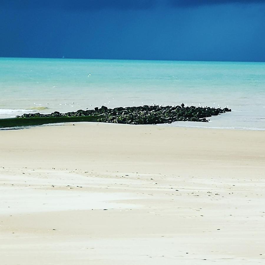 Апартаменти Fleuri Westende Мідделкерке Екстер'єр фото